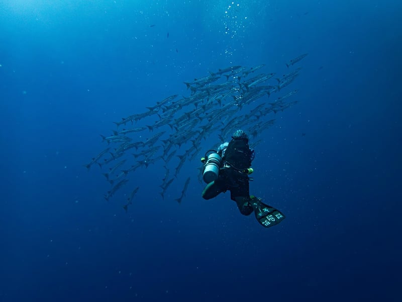 Submersible